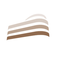 Régie Braun SA logo - Similar company to Ps Solutions Ag