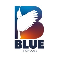 BLUE PROHOUSE logo - Similar company to Kino Productions