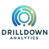 Drill Down Analytics logo - Similar company to Drill Down Analytics