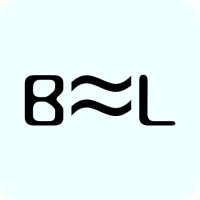 Bridging Labs logo - Similar company to Bridgingapps
