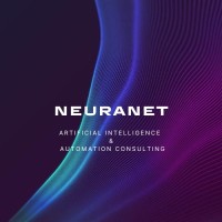 NeuraNet logo - Similar company to Edifice Cms