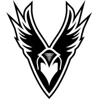 Valkyria Project logo - Similar company to Netpulse