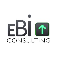 Ebi Consulting South Africa logo - Similar company to Realvization