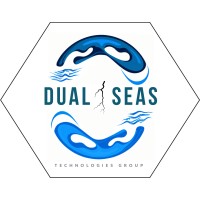 Dual Seas Technologies Group logo - Similar company to C2 Strategies