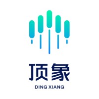 Dingxiang logo - Similar company to Aegis Digital Technologies