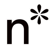 Northstar Recruiting logo - Similar company to Virtualsfy