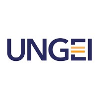 UN Girls' Education Initiative (UNGEI) logo - Similar company to African Union International Center For Girls & Women'S Education In Africa