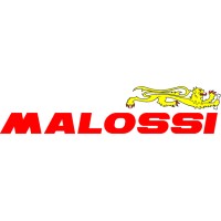 Malossi S.p.A. logo - Similar company to Italjet