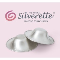 Silverette Israel logo - Similar company to Zl Tech Solutions