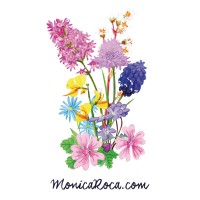 Mònica Roca Illustrator & Surface Pattern Designer logo - Similar company to G47 Studio Spain