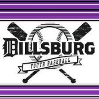 Dillsburg Youth Baseball logo - Similar company to Cheektowaga Youth Baseball