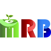 MRB Professionals Hub logo - Similar company to Techparade (Pvt.) Ltd.