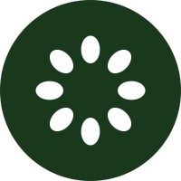 Kiwi Solutions logo - Similar company to Kiwi Solutions