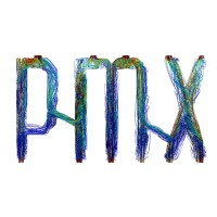 PMX logo - Similar company to Behavidence