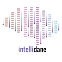 Intellidane logo - Similar company to Teckplus Digital Solutions