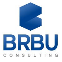Brain Builder Consulting logo - Similar company to Crosster