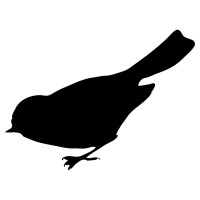 Bird Seed Source