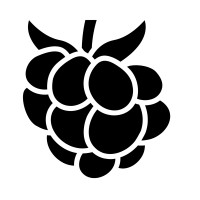 Cloudberry Pioneer Investments logo - Similar company to Invictus Robotics