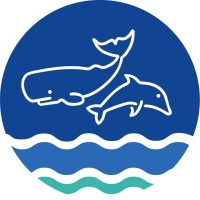 Jonian Dolphin Conservation logo - Similar company to Associazione Surfhers