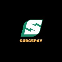SURGEPAY logo - Similar company to Datalinks Limited