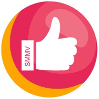 SMM Vibes logo - Similar company to Smm Paneles