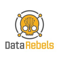 DataRebels® logo - Similar company to Datavaultalliance