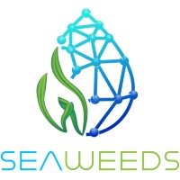 Seaweeds logo - Similar company to Blink Analytics