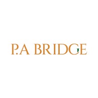 PA BRIDGE logo - Similar company to Smart Maint
