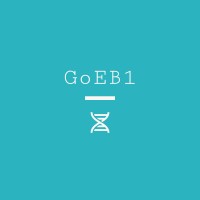 GoEB1 logo - Similar company to Set Media Inc.