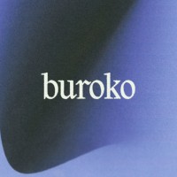 Buroko logo - Similar company to Digital Pulse