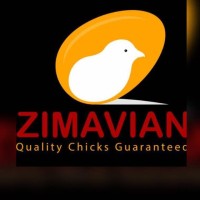 ZimAvian logo - Similar company to Kavron Group