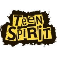 TeenSpirit Studio logo - Similar company to Meetroo