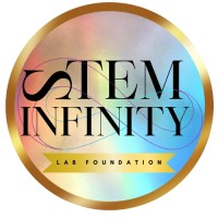 STEM Infinity Lab Foundation logo - Similar company to Techsarvam