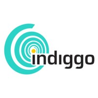 Indiggo - Purpose-Driven Focused Execution For Enterprise Strategy