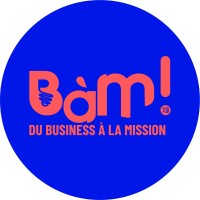 BàM - du Business à la Mission logo - Similar company to Dynalec Scop Sa