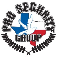 Pro Security Group Inc logo - Similar company to Pro Security Bv