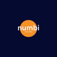 numbi logo - Similar company to Cheshbon Veritas Llc