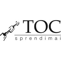 TOC sprendimai logo - Similar company to Enterprise Space, Inc.