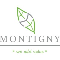 Montigny Investments logo - Similar company to Usa Distillers
