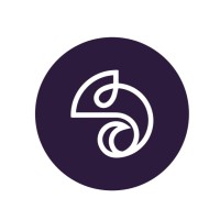 Pasquale Fashions logo - Similar company to Hasanova