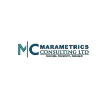 MaraMetrics Consulting Limited logo - Similar company to Nonyane Consultancy