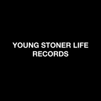 YOUNG STONER LIFE RECORDS logo - Similar company to Cactusjackrecords