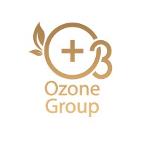 Ozone Group logo - Similar company to P-Value