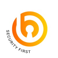 Burnsys logo - Similar company to Net Force Technologies Llc