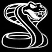 Cobra Financial Solutions Ltd logo - Similar company to Cobra Financial Solutions Ltd
