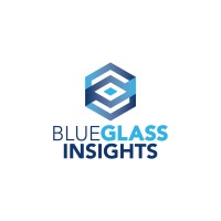 Blue Glass Insights logo - Similar company to Dripoli Web