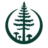 Branching Out Environmental Consulting logo - Similar company to Statlu Environmental Consulting Ltd.