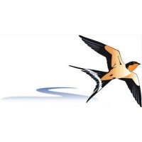 POTOMAC BUSINESS SERVICES, LLC logo - Similar company to Kalea Conseil