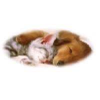 HCS International logo - Similar company to Hcsintl.Com Recruiting Intelligently And Diligently!