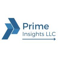 Prime Insights logo - Similar company to Rapid Performance